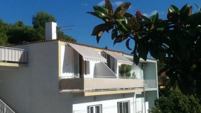 Apartmani Carević